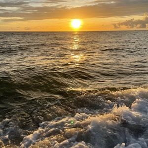 Meet your Posher, Pnina